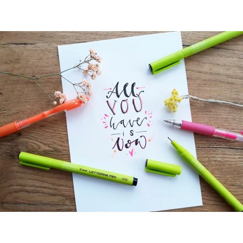 Stylo Calligraphie Pilot Lettering Pen 20 SWN-DRL-20-B – Feutre 2.0 mm - 4