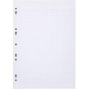 Double Feuilles A4 BLANCHE chems