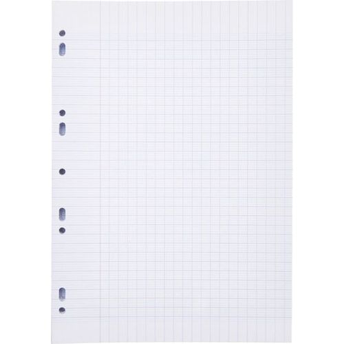 Double Feuilles A4 BLANCHE chems