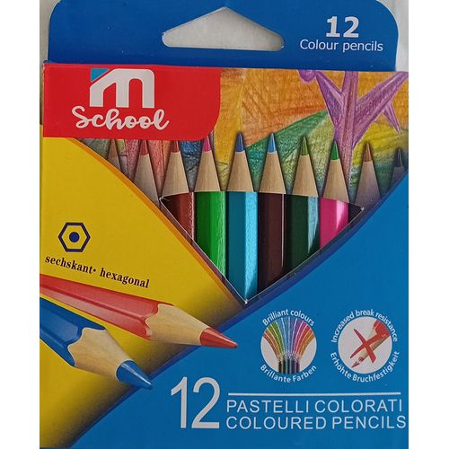 Crayons de couleur MSCHOOL 12 couleurs mini
