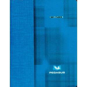 Cahier PEGASUS 384p broché Petit Format 60g Grand Carreaux