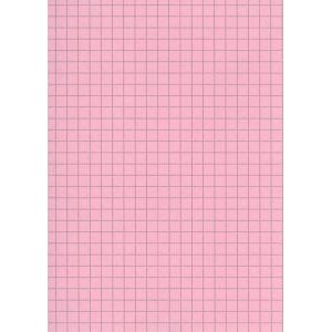 Fiche Bristol cartonnée petit format rose
