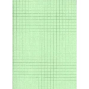 Fiche Bristol cartonnée petit format vert