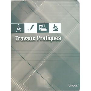 Cahier ancor TP 96p piqué Petit Format 70/90g Grand Carreaux