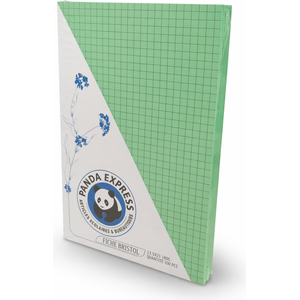 Fiches Bristol Quadrillées Panda Express 13,5x21 cm 180g – vert – Bloc 100 Feuilles