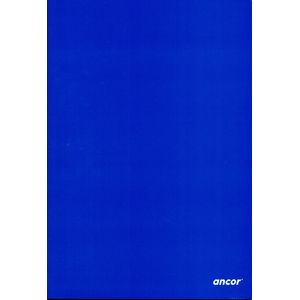 Cahier ancor 192p piqué Grand Format 90g Grand Carreaux