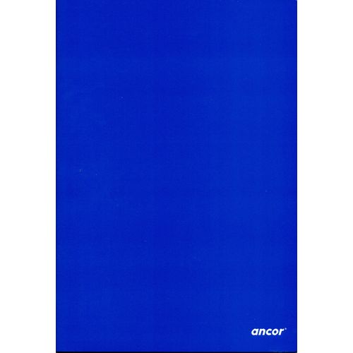 Cahier ancor 192p piqué Grand Format 90g Grand Carreaux