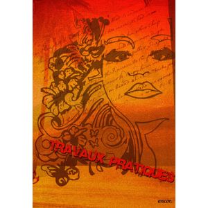 Cahier ancor TP 96p piqué Grand Format 70/90g Grand Carreaux