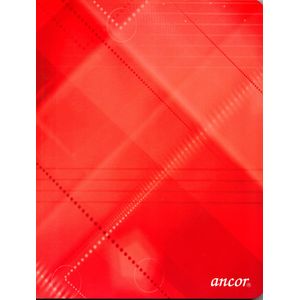 Cahier ancor 192p broché Petit Format 90g Grand Carreaux