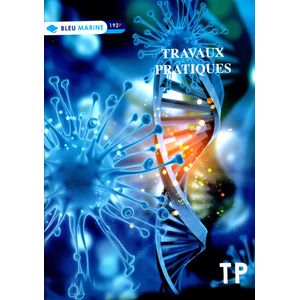 Cahier Bleu MARINE TP 192p piqué Grand Format 60g Grand Carreaux