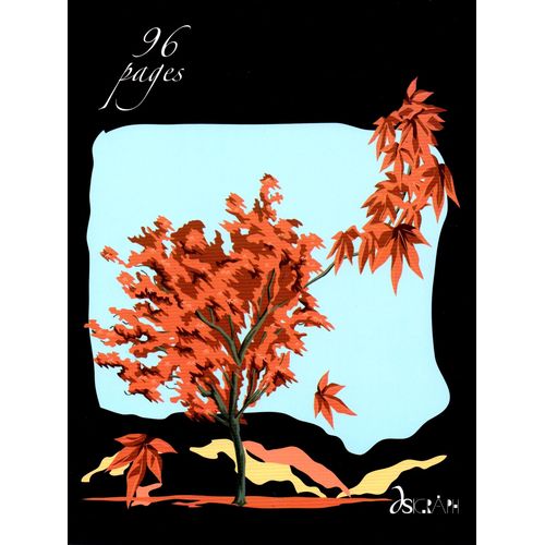 Cahier DSK GRAPH 96p piqué Petit Format 80g Grand Carreaux