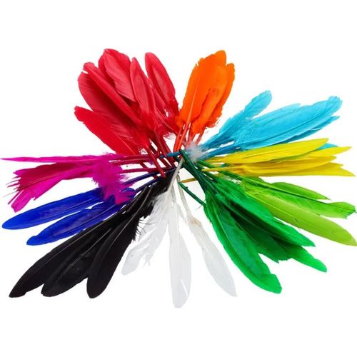 ريش فوليا 55119 للأشغال اليدوية - ألوان متنوعة - 2