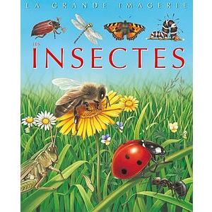 La grande imagerie : Les Insectes