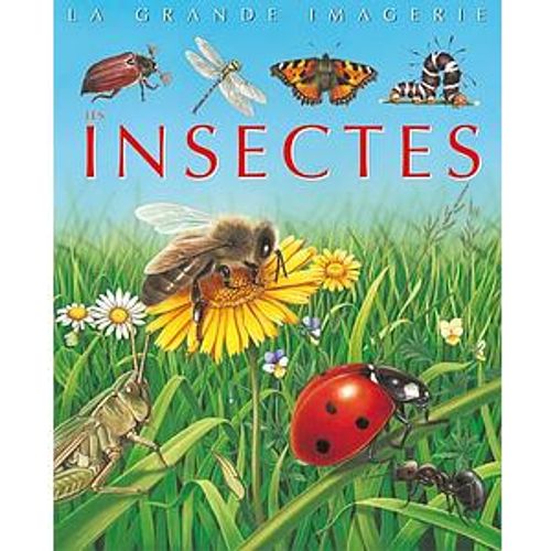 La grande imagerie : Les Insectes