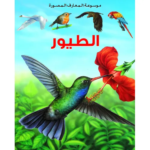 Encyclopedia Illustrated: Birds - 2