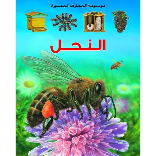 Encyclopedia المعارف المصورة: النحل - 2