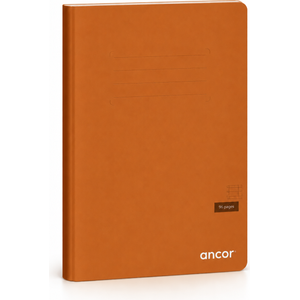 Cahier ANCOR polypro 24x32 96p piqué 90g Grand Carreaux- Marron