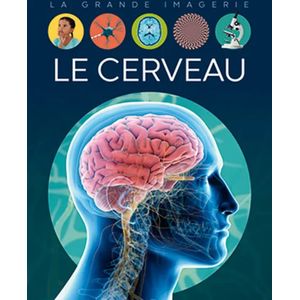 La grande imagerie - Le cerveau