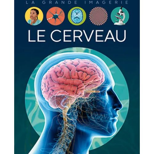 La grande imagerie - Le cerveau