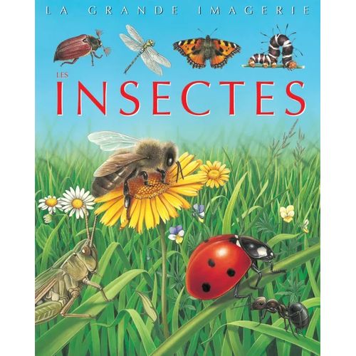 La grande imagerie - Insectes