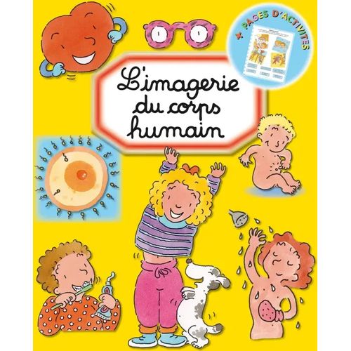 Les imageries - L'imagerie du corps humain