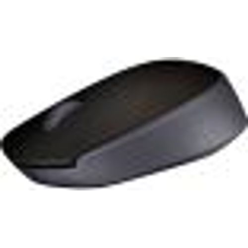 Souris sans fil Logitech M171 - portée 10 mètres - 2