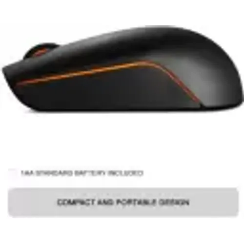 Souris sans fil Lenovo 300 - nano USB 1000 dpi - 2