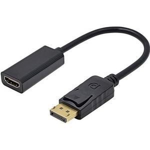 Adaptateur vidéo DisplayPort vers HDMI pour TV et écran