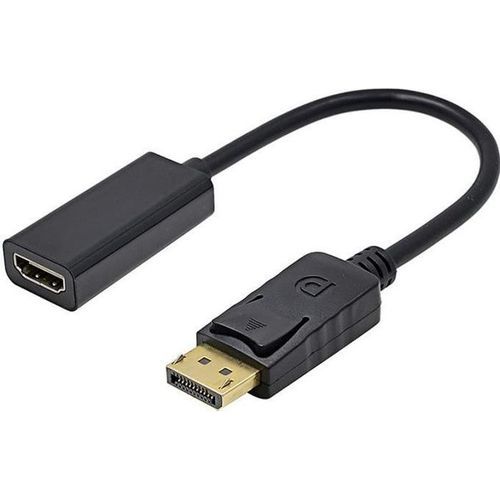 Adaptateur vidéo DisplayPort vers HDMI pour TV et écran