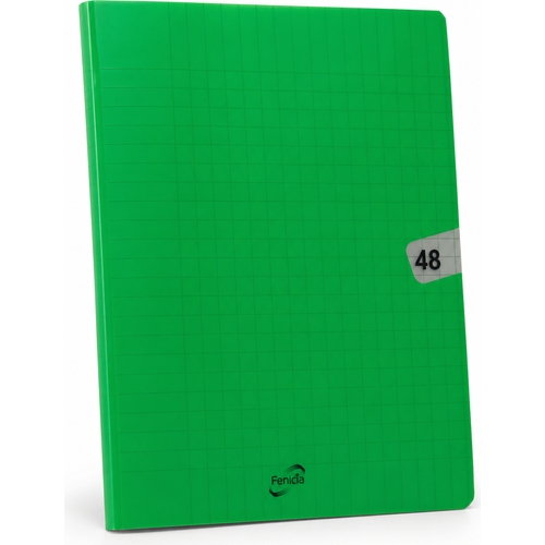 Fenicia A5 Notebook 48 pages Seyes 90g Polypro 17x22 cm- Green