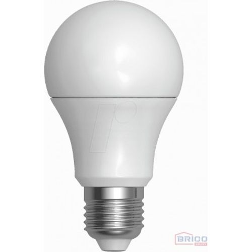 Ampoule LED filtage 9W