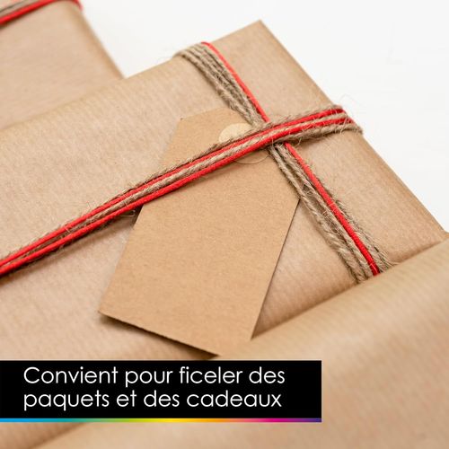Ficelle de jute colorée 1mmx25m - 4
